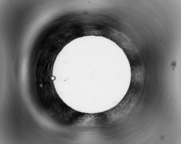 X0000103940764200810101416