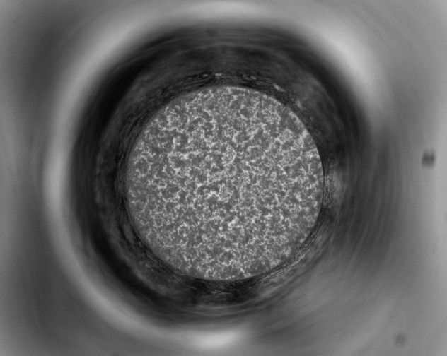 X0000103940765200810101416