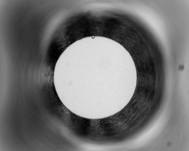 X0000103940766200810101416