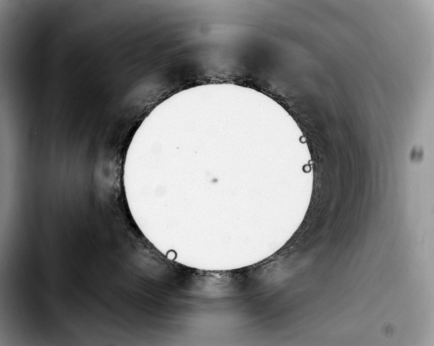 X0000103940768200810101416