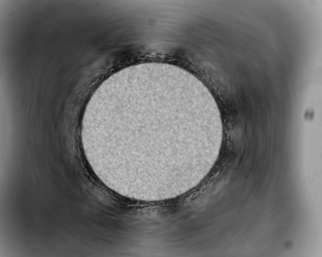 X0000103940769200810101415