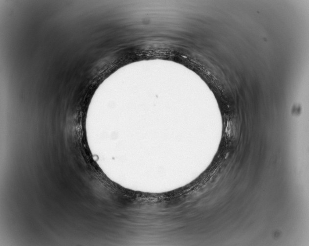 X0000103940771200810101415