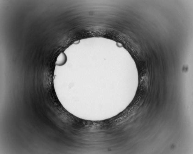 X0000103940772200810101415