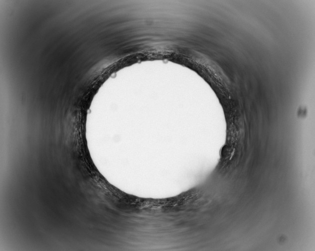 X0000103940773200810101415