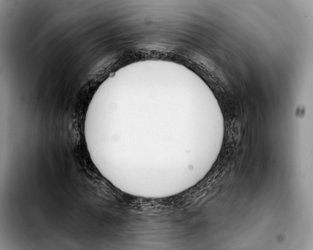 X0000103940774200810101415