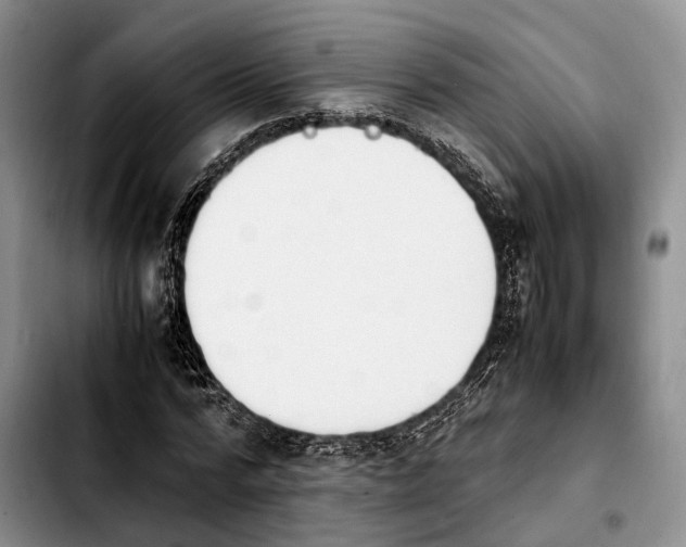 X0000103940776200810101415