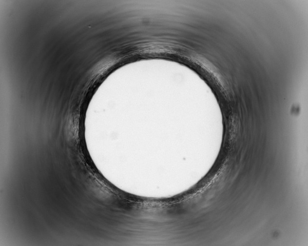 X0000103940777200810101415