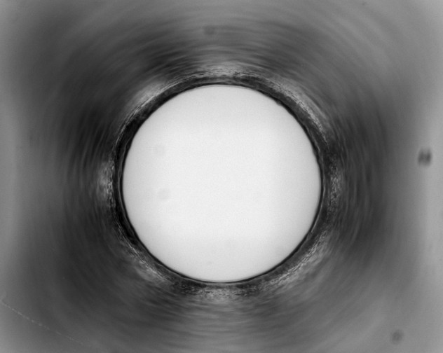 X0000103940778200810101415