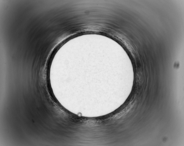 X0000103940779200810101415