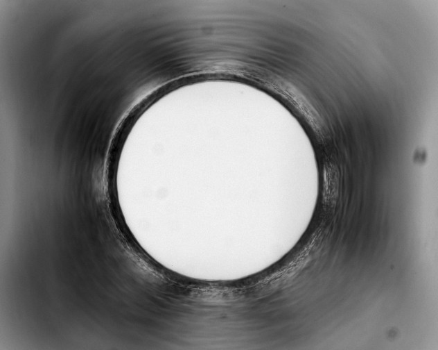 X0000103940780200810101415