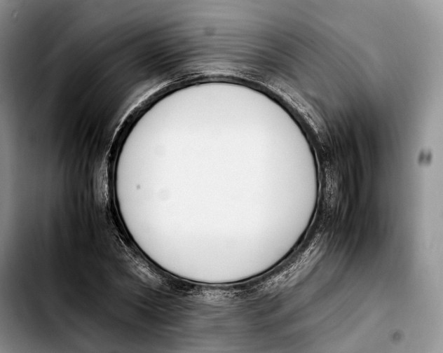 X0000103940782200810101415