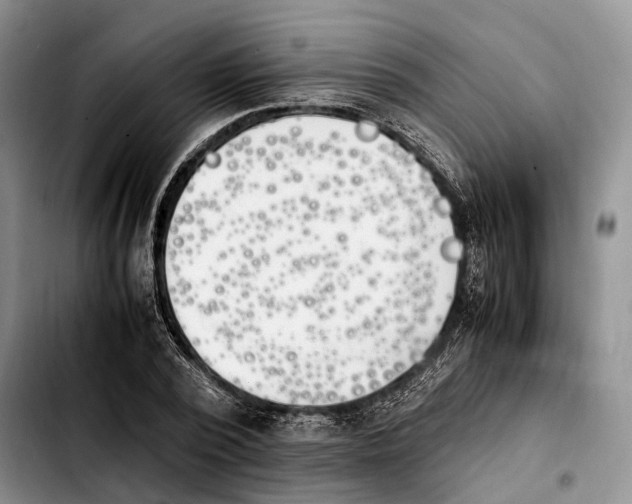 X0000103940784200810101415