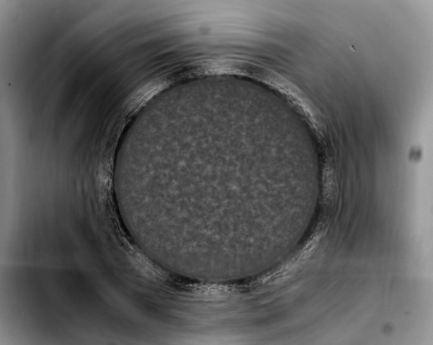 X0000103940785200810101415