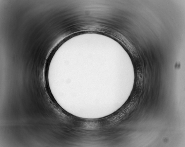 X0000103940788200810101415