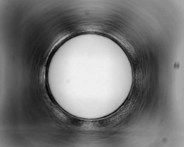 X0000103940790200810101415