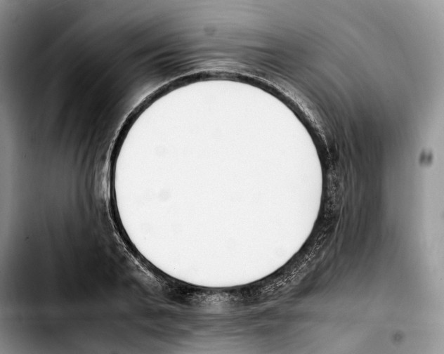 X0000103940791200810101415