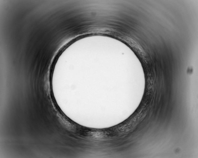 X0000103940792200810101415