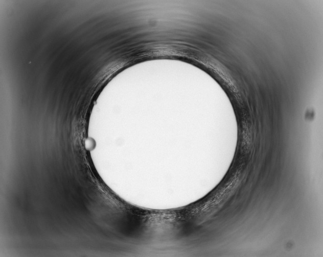 X0000103940793200810101415