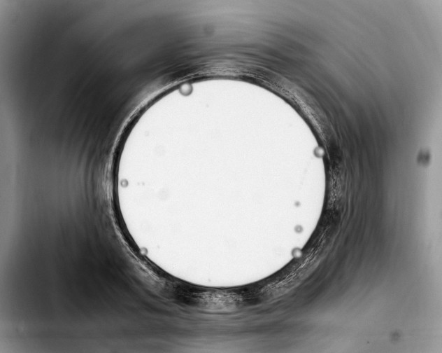 X0000103940795200810101415