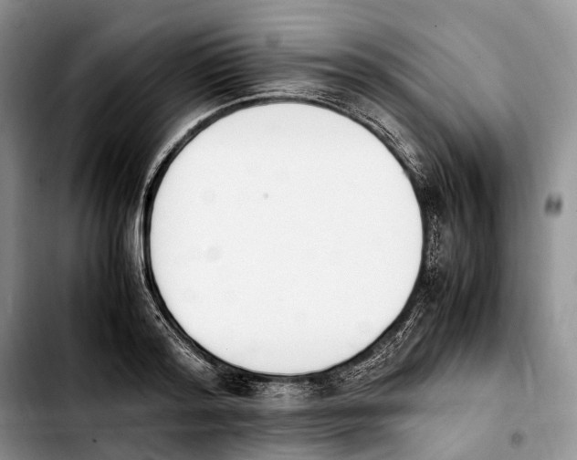 X0000103940796200810101415