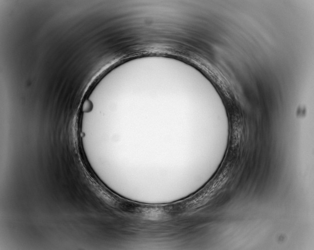 X0000103940798200810101415