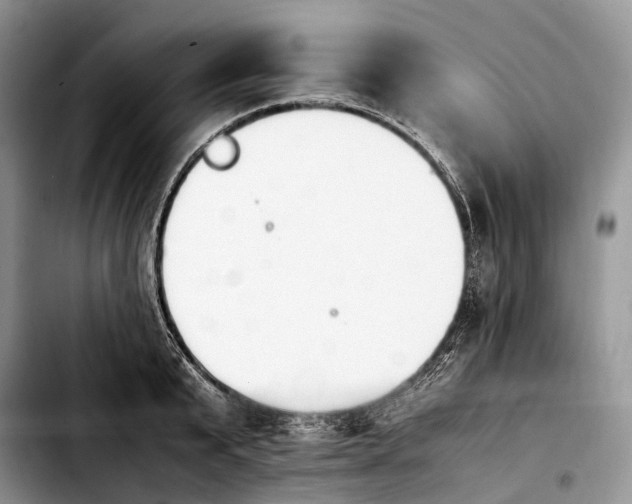 X0000103940799200810101415