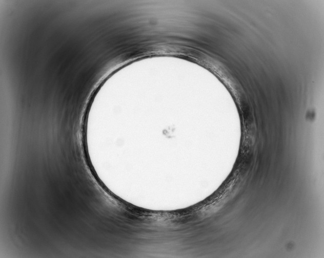 X0000103940803200810101415