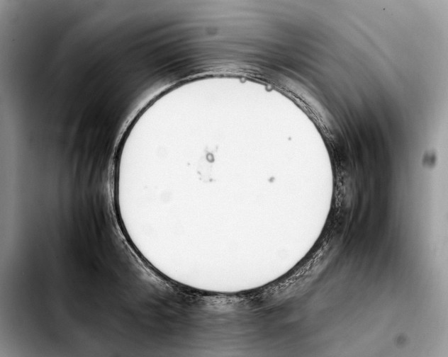 X0000103940804200810101415