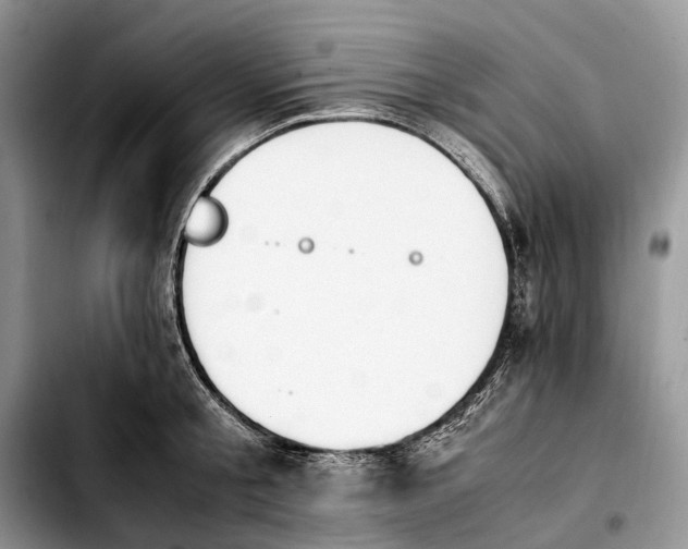 X0000103940805200810101415