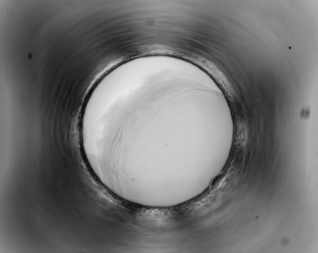 X0000103940806200810101415