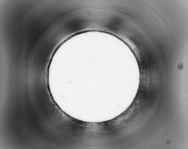 X0000103940807200810101415