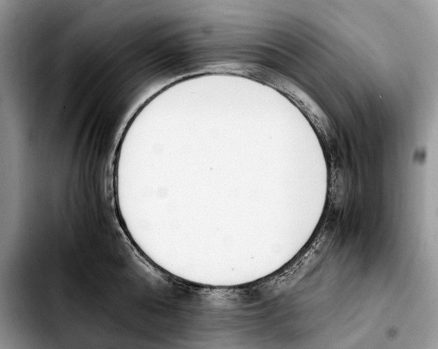 X0000103940808200810101415