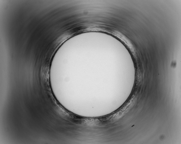 X0000103940809200810101415