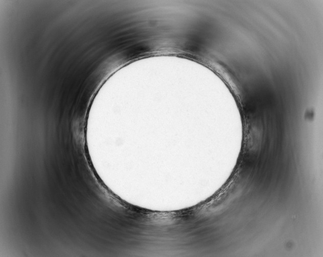 X0000103940810200810101415