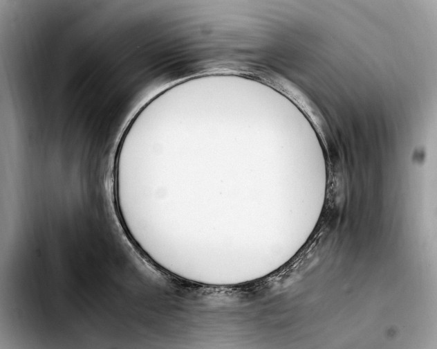 X0000103940811200810101415