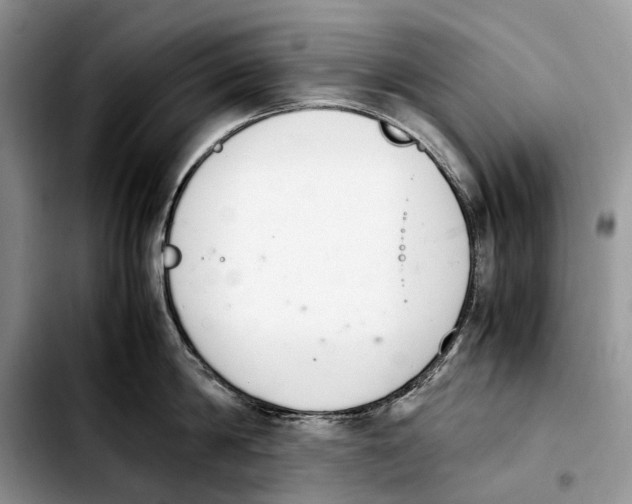 X0000103940814200810101414