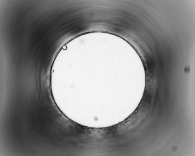 X0000103940815200810101414