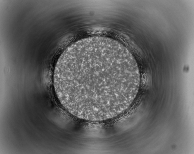 X0000103940820200810101414