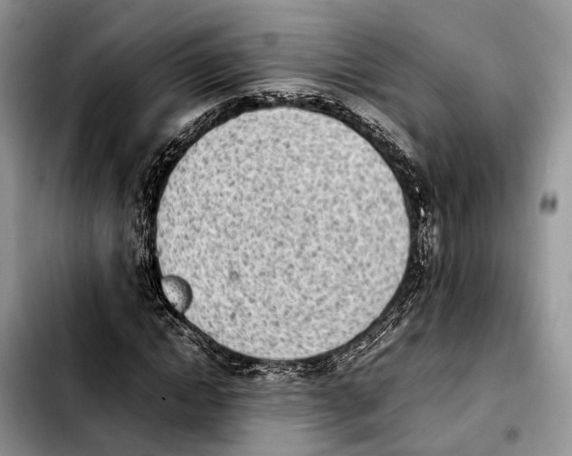 X0000103940822200810101414