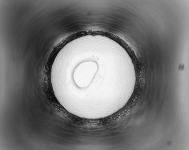 X0000103940823200810101414