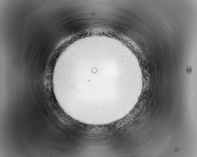 X0000103940824200810101414