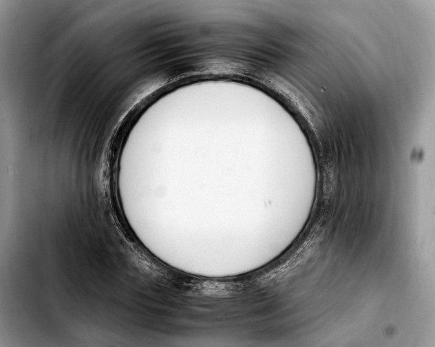 X0000103940827200810101414