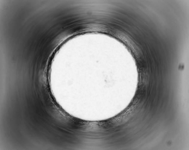 X0000103940828200810101414