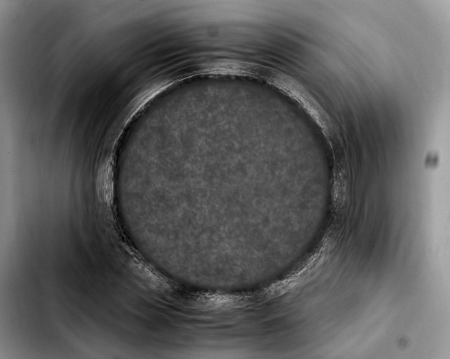 X0000103940829200810101414