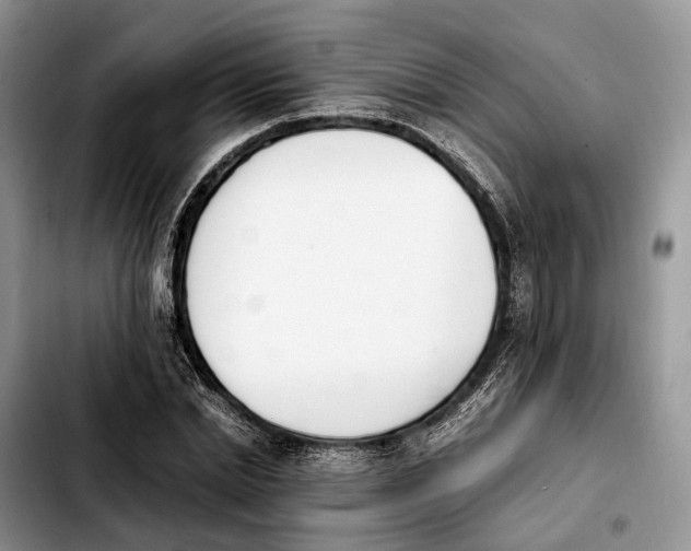 X0000103940830200810101414