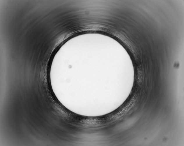 X0000103940834200810101414