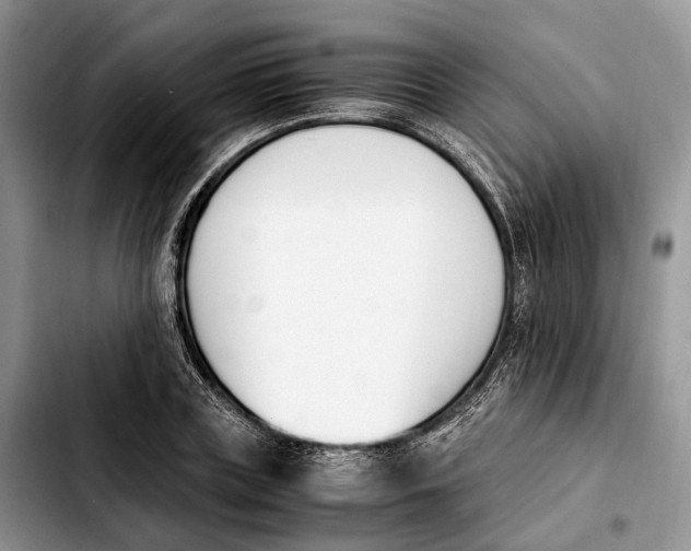 X0000103940835200810101414