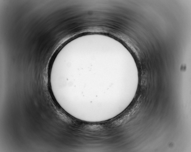 X0000103940837200810101414