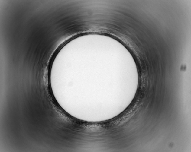 X0000103940838200810101414