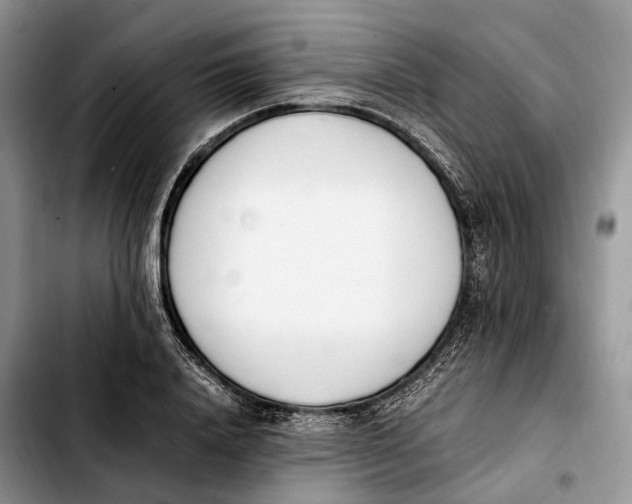 X0000103940840200810101414